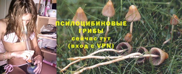 a pvp Белоозёрский