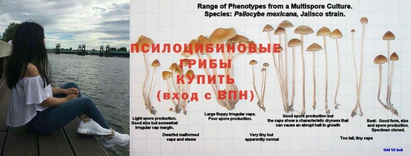 a pvp Белоозёрский
