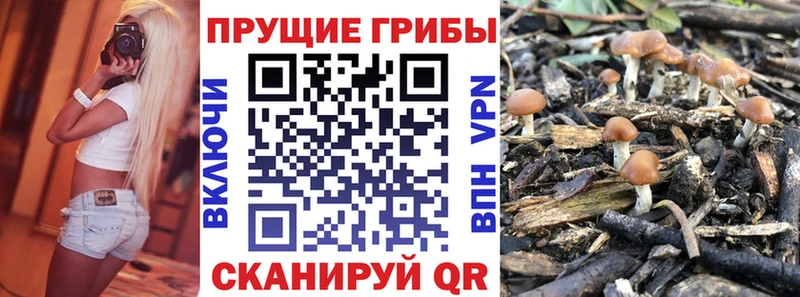 hydra ТОР  Добрянка  Галлюциногенные грибы ЛСД 